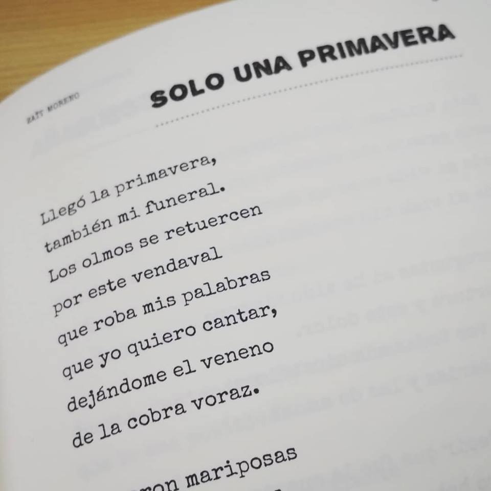 Tormentosa existencia - Imagen 7